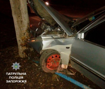 В Запорожье пьяный водитель врезался в дерево