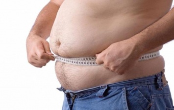 В США ученые нашли взаимосвязь с ожирением и политической принадлежностью