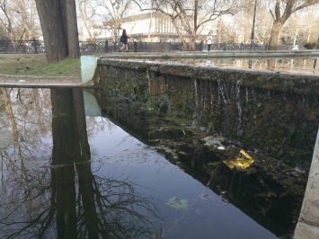 Один из парков для отдыха в Симферополе превратился в помойку с водой цвета хаки (ФОТОРЕПОРТАЖ)