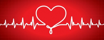 Ученые сумели раскрыть главный секрет сердцебиения