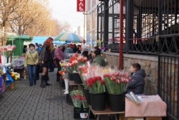 В Павлограде к 8 марта подорожали цветы