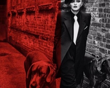 Мадонна показала фанатам «собачью жизнь»