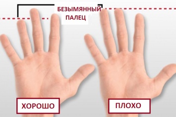 Ученые обнаружили что длина безымянного пальца мужчины влияет на их сексуальные способности