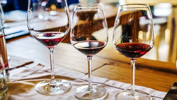 Ученые установили, какой компонент красного вина замедляет старение мозга