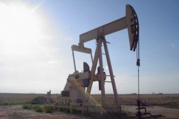 Британская компания возобновила добычу нефти во Львовской области