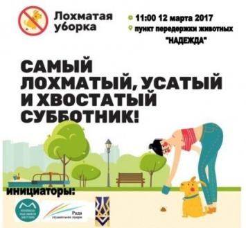 В Мелитополе уберут "лохматый" приют