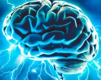 Ученые: Мозг человека готов работать даже в состоянии покоя