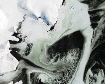 Ученые объяснили появление зеленых участков у берегов Антарктиды