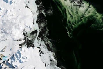 Ученые раскрыли тайну зеленого льда в Антарктиде