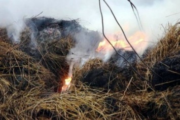 В Павлоградском районе едва не сгорел жилой дом