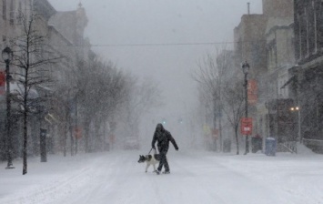 Жертвами снежной бури в США стали четыре человека