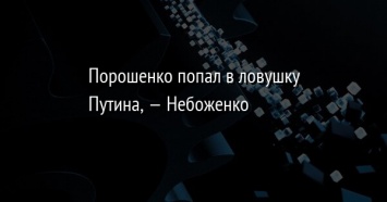 Порошенко попал в ловушку Путина, - Небоженко