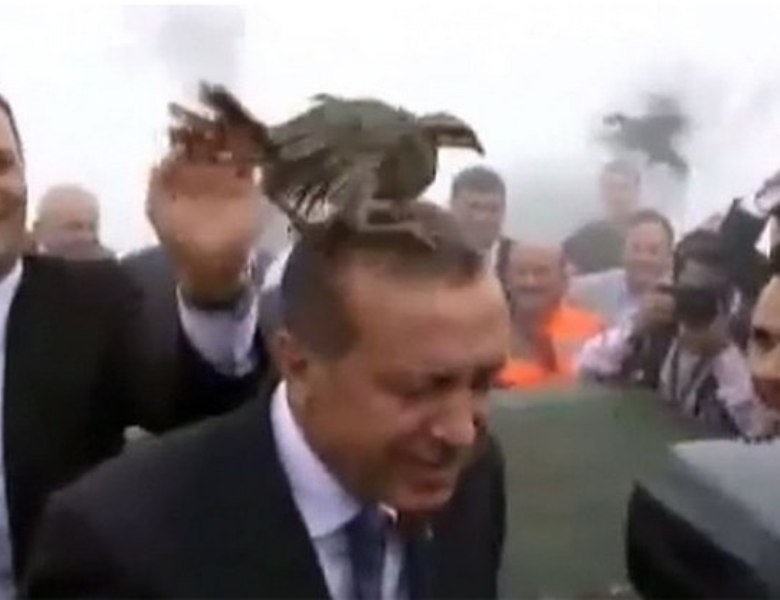 На открытии мечети президента Турции атаковала птица