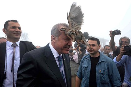 Турецкому президенту на голову села куропатка