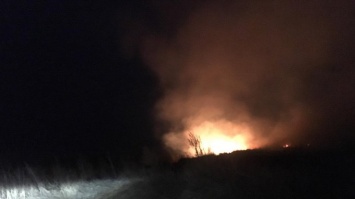 Под Киевом пылает масштабный пожар (фото)