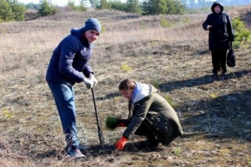 Кременчугские школьники посадили хвойный лес под Кременчугом (ФОТО)