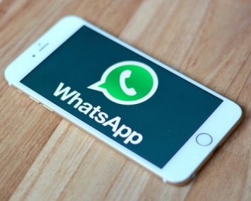 Разработчики WhatsApp откликнулись на просьбы пользователей и вернули текстовые статусы