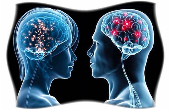 Ученые: Мозг мужчины и женщины различаются на молекулярном уровне