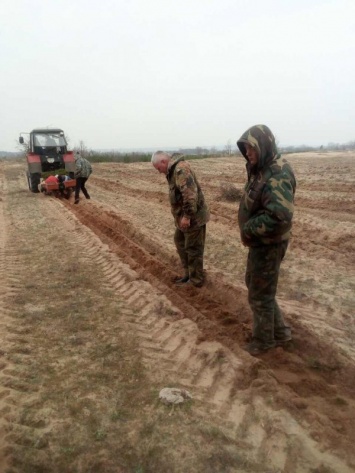 Лесоводы Луганщины стараются пополнить лесофонд региона