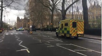 В Лондоне неизвестный напал на офицера полиции у стен парламента и был застрелен