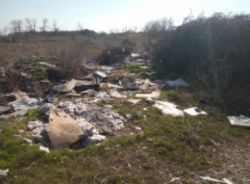 В городском лесопарке появился свинарник (фото)