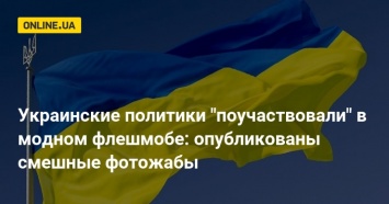 Украинские политики "поучаствовали" в модном флешмобе: опубликованы смешные фотожабы