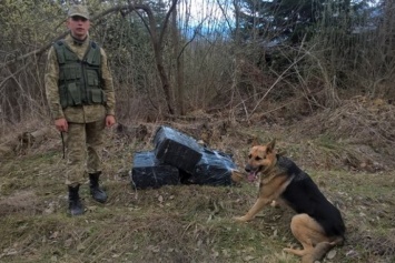 На границе с Румынией нашли тайник с контрабандными сигаретами