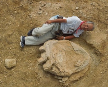 Самое большое количество следов динозавров обнаружили в Австралии