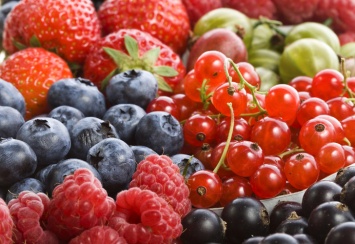 Украина нарастила экспорт ягод в Европу