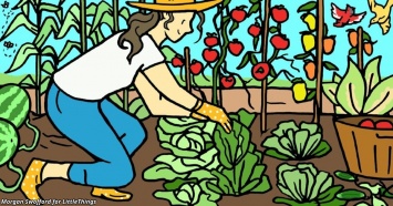 Вот почему каждый садовник должен садить рядом с розами чеснок!