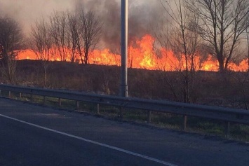 Пожар в Киеве: горел пустырь с сухой травой