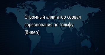 Огромный аллигатор сорвал соревнования по гольфу (Видео)