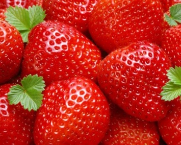 Ученые назвали самую ядовитую ягоду на планете