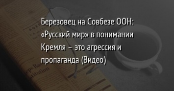 Березовец на Совбезе ООН: «Русский мир» в понимании Кремля - это агрессия и пропаганда (Видео)