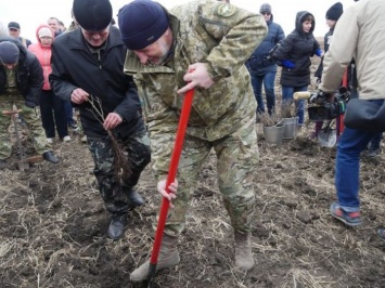 На Донетчине губернатор высаживал дубраву: появились фото