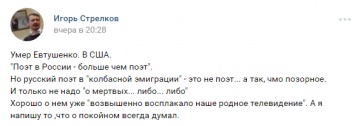 "Чмо позорное": экс-главарь "ДНР" жестко высказался о покойном Евтушенко