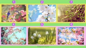 Тест-предсказание: узнайте, какие 3 вещи приготовила вам весна