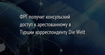 ФРГ получит консульский доступ к арестованному в Турции корреспонденту Die Welt