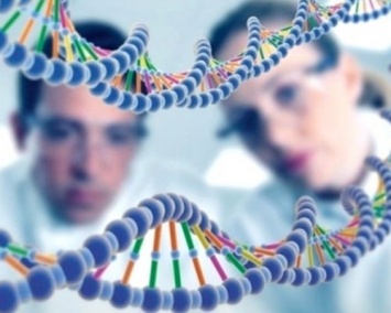 Эксперты знают, как определить будущий интеллект ребенка посредством ДНК
