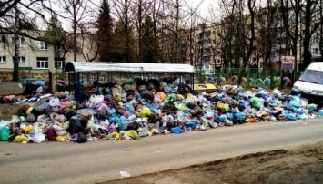 Львовские врачи просят руководство страны помочь с освобождением города от мусора