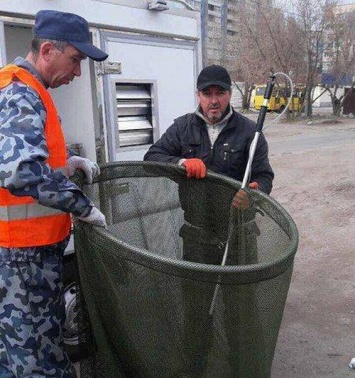 В Днепре выловили пятьдесят одну стаю бродячих собак