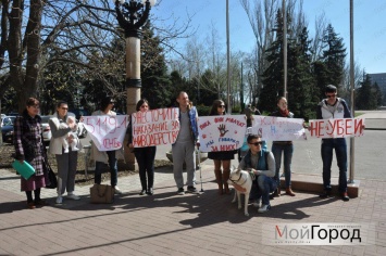 Под стенами горсовета пес «спел песню» о живодерах для мэра Николаева