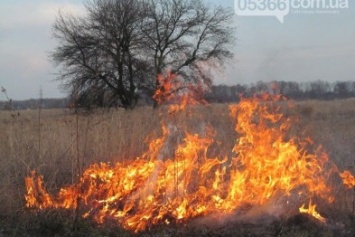 Как спастись от лесного пожара и как избежать опасности провалиться в горящий торф