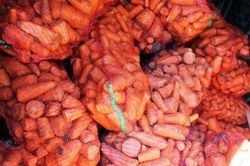 В Новой Каховке малообеспеченным раздали 24 тонны моркови