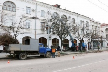 В Севастополе до 10 апреля будут обрезать деревья