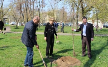 В Херсоне учителя садили деревья