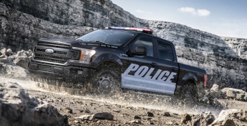 Новые Ford F-150 и Expedition примерили полицейскую форму