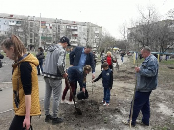 Первомайские школьники озеленили город яблонями и вишнями