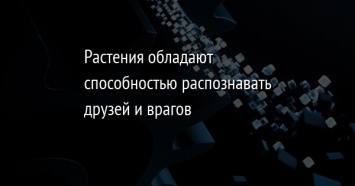 Растения обладают способностью распознавать друзей и врагов