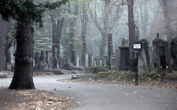 На запорожские кладбища не пускают частный транспорт